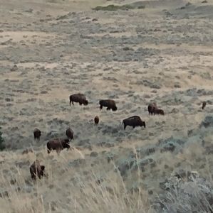 Meet your Posher, Aloysius